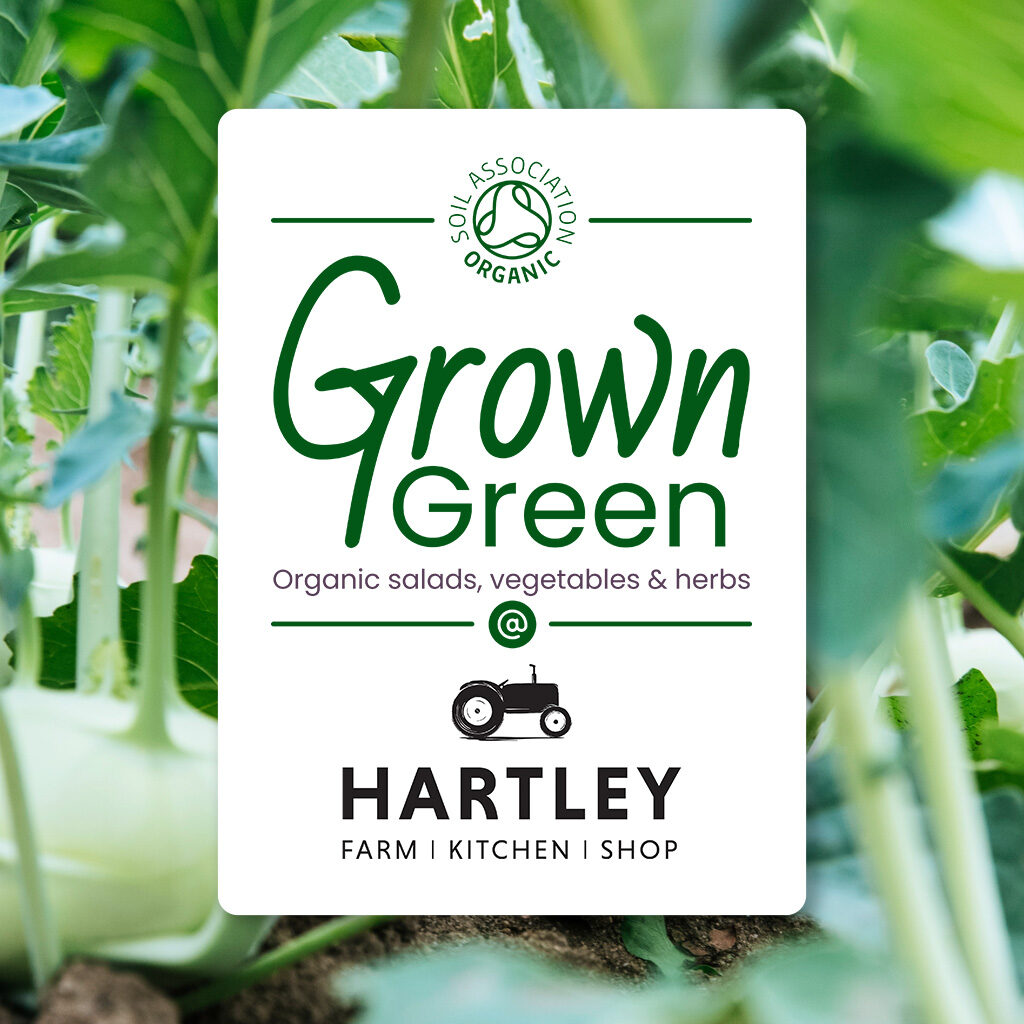 Grown Green logo design
